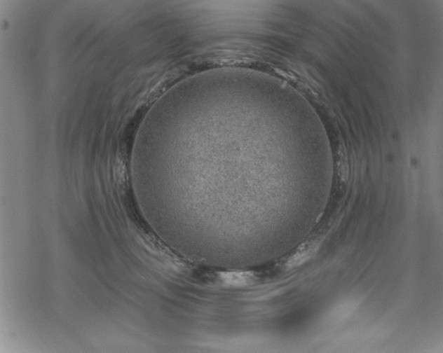 X0000069840371200605221238