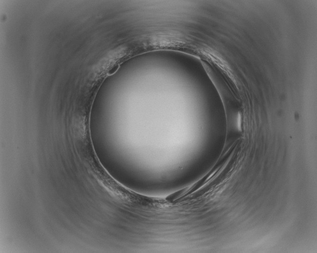 X0000069840401200605221237
