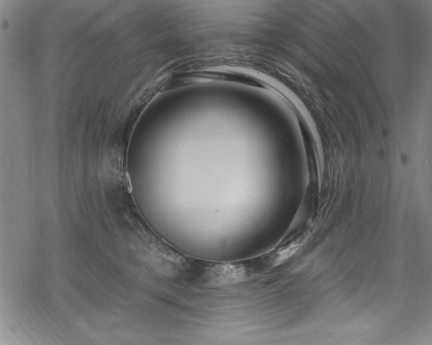 X0000069840421200605221237