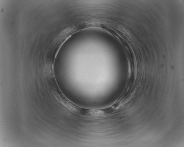 X0000069840429200605221237