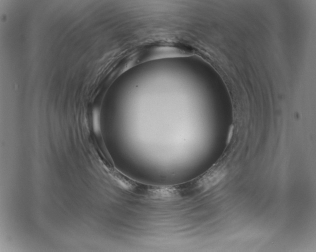X0000069840432200605221237
