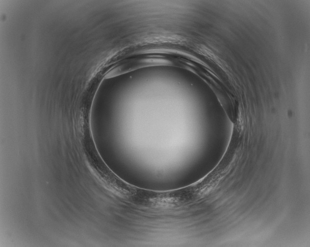 X0000069840448200605221236