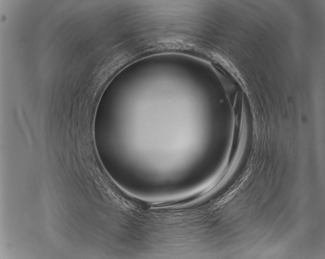 X0000069840481200605221236