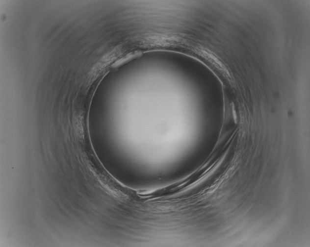 X0000069840489200605221236