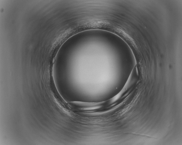 X0000069840493200605221236