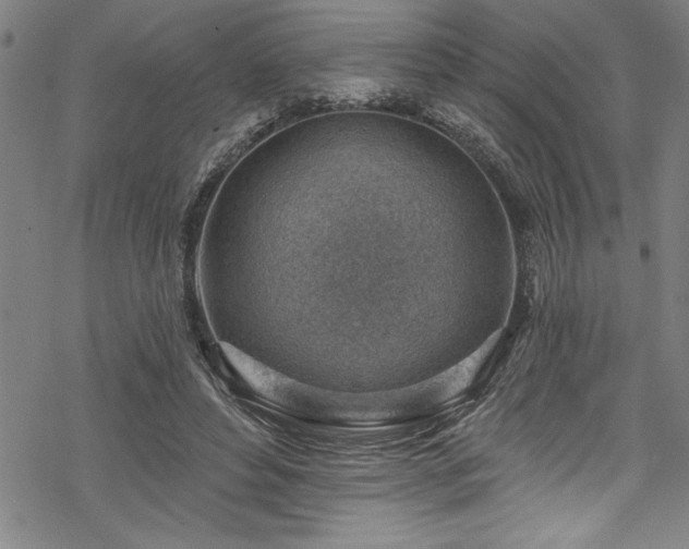 X0000069840496200605221236