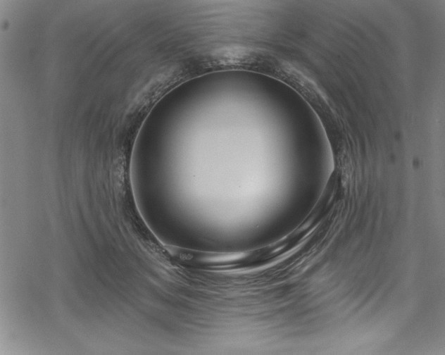 X0000069840509200605221235
