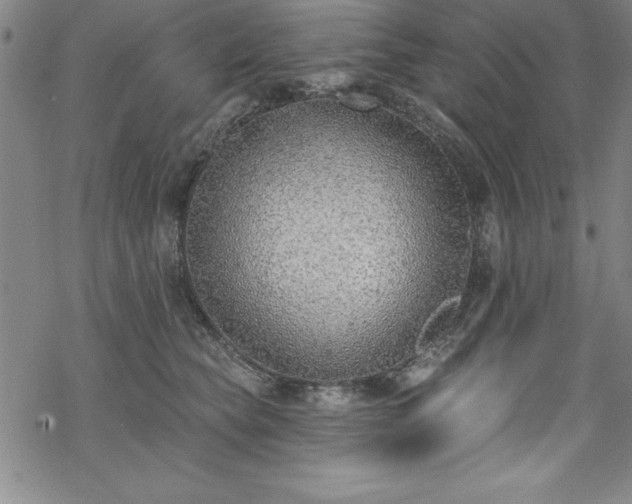 X0000069840565200605221235