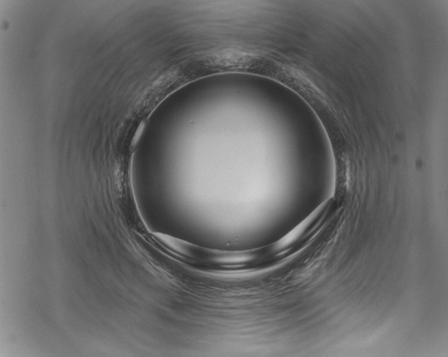 X0000069840597200605221234