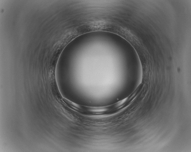 X0000069840601200605221234