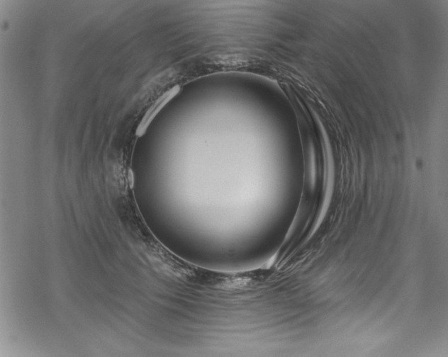 X0000069840609200605221234
