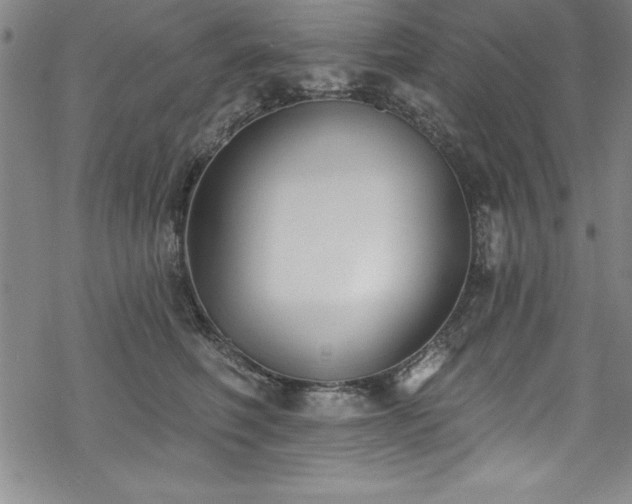 X0000069840614200605221234