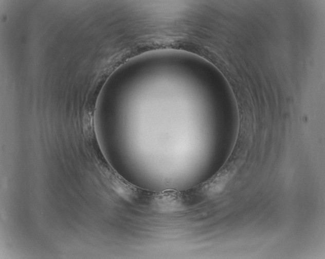 X0000069840624200605221233