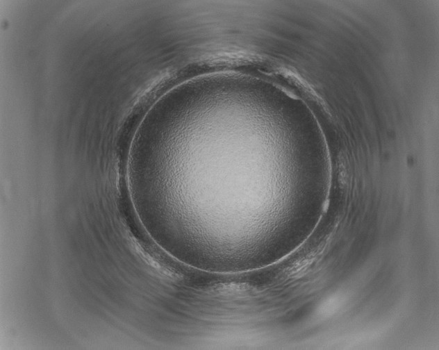 X0000069840637200605221233