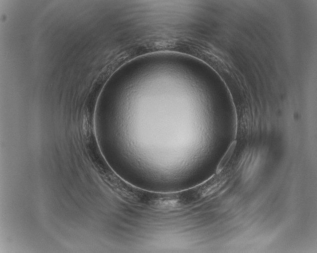 X0000069840651200605221233