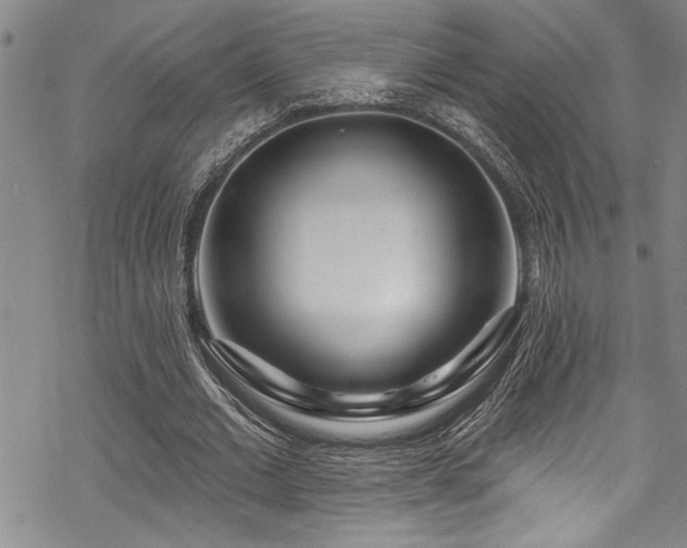 X0000069840677200605221233