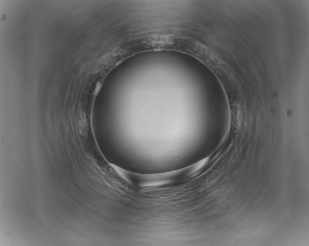 X0000069840704200605221232
