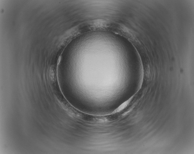 X0000069840715200605221232