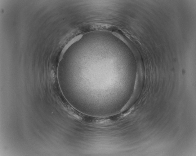 X0000069840716200605221232