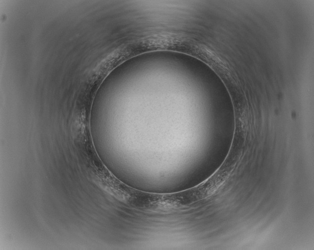 X0000069840737200605221231