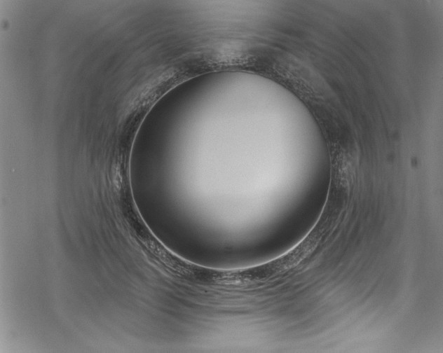 X0000069840746200605221232