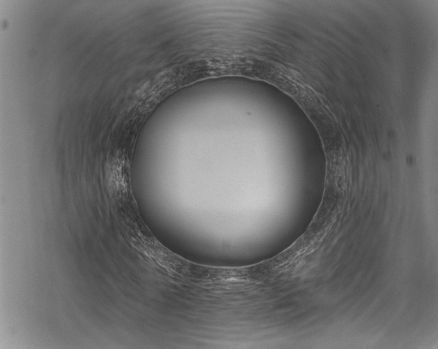 X0000069840770200605221231