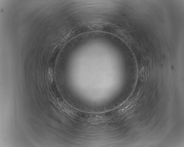 X0000069840772200605221231