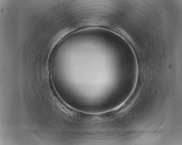 X0000069840787200605221231