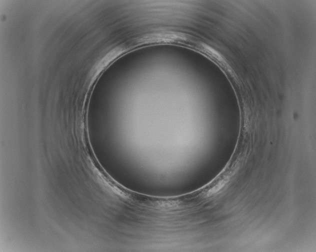X0000069840802200605221231
