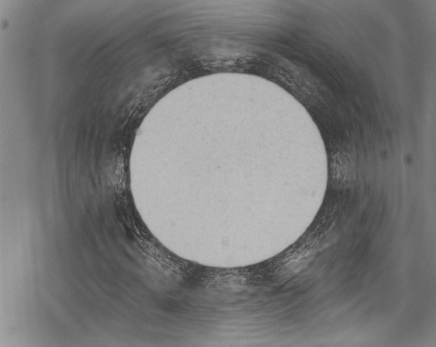 X0000069840820200605221230