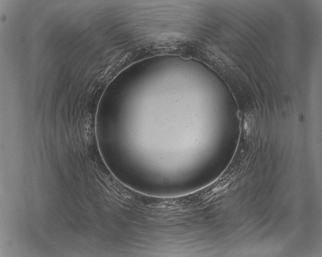 X0000069840867200605221230