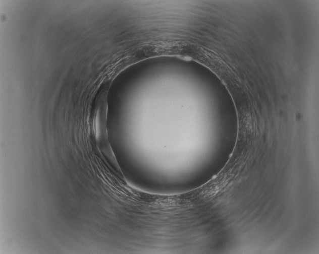 X0000069840914200605221228