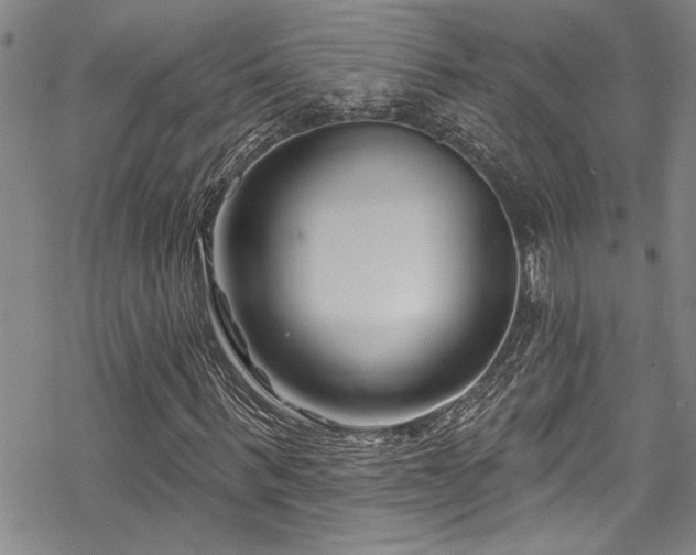 X0000069840963200605221228