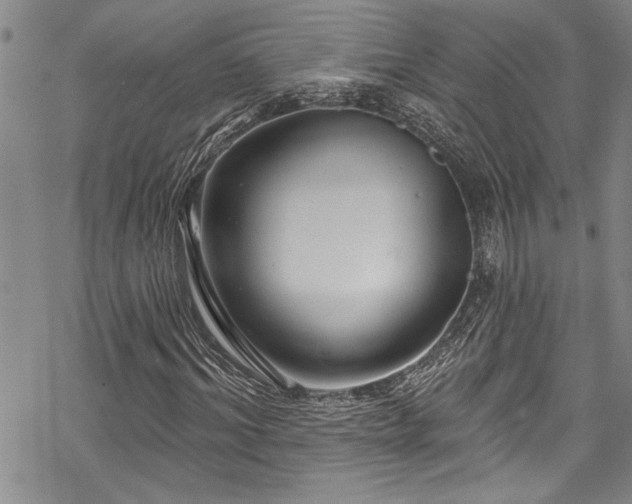 X0000069840964200605221228