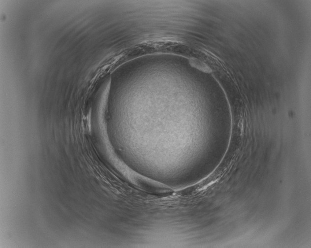 X0000069841014200605221227