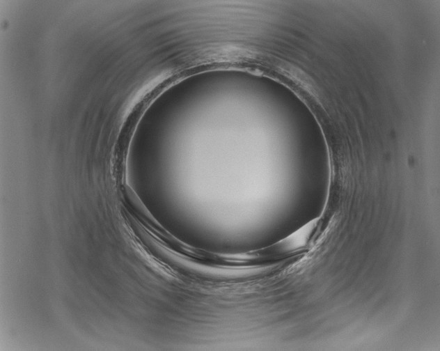 X0000069841026200605221227