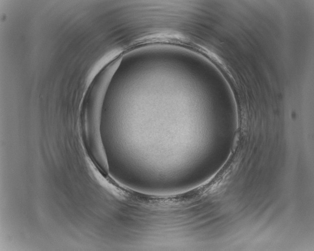 X0000069841042200605221227