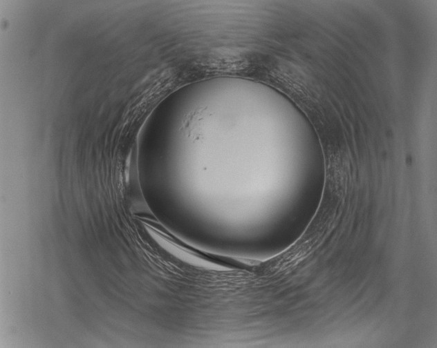 X0000069841058200605221226
