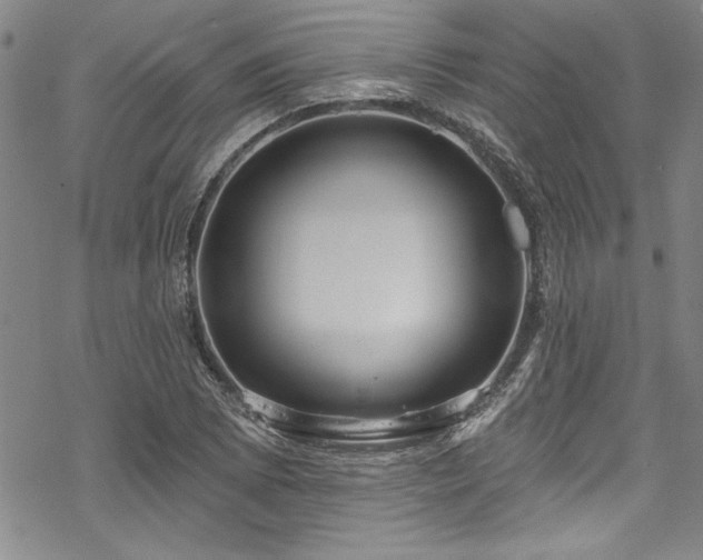 X0000069841073200605221226