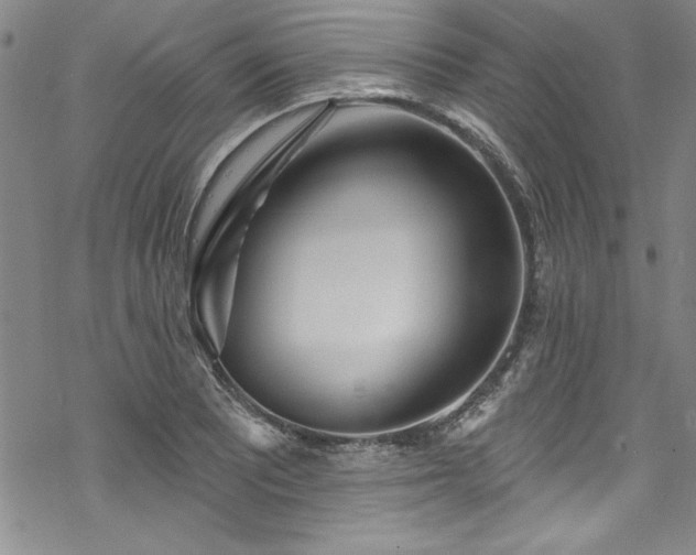 X0000069841081200605221226