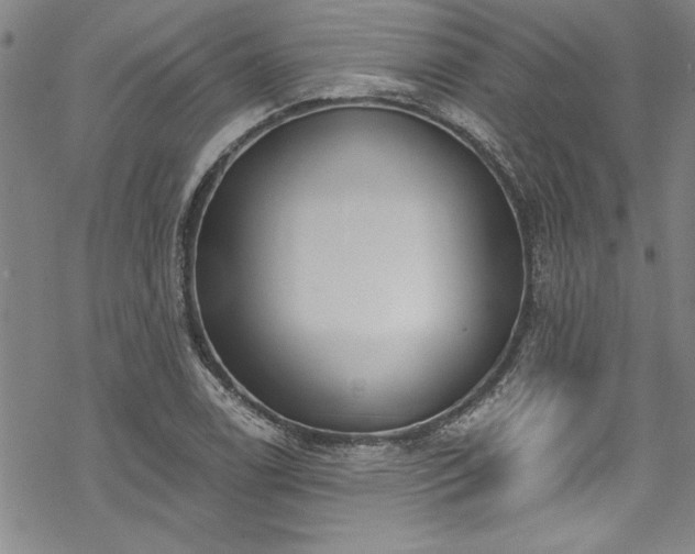 X0000069841122200605221225