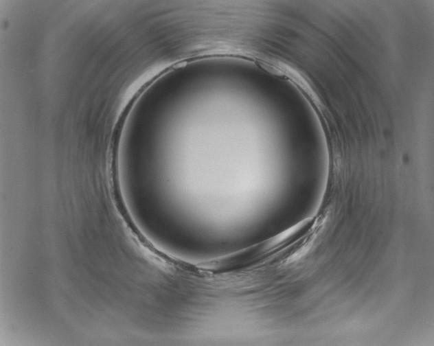 X0000069841149200605221226