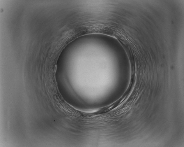 X0000069841153200605221225
