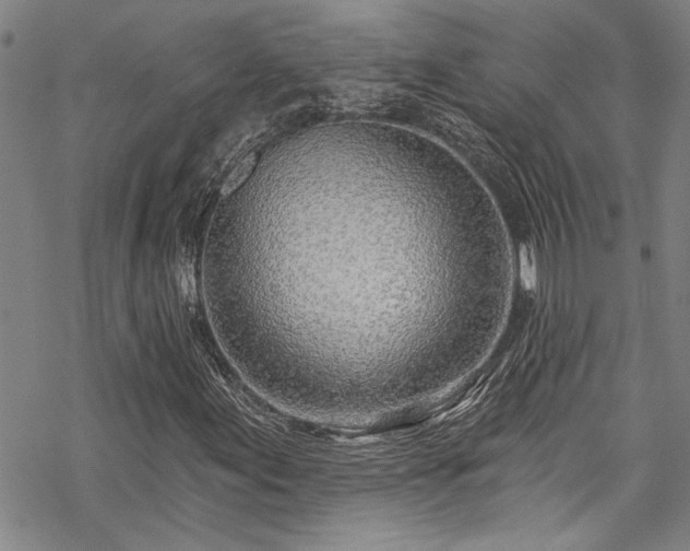 X0000069841155200605221225