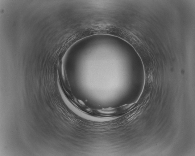 X0000069841156200605221225