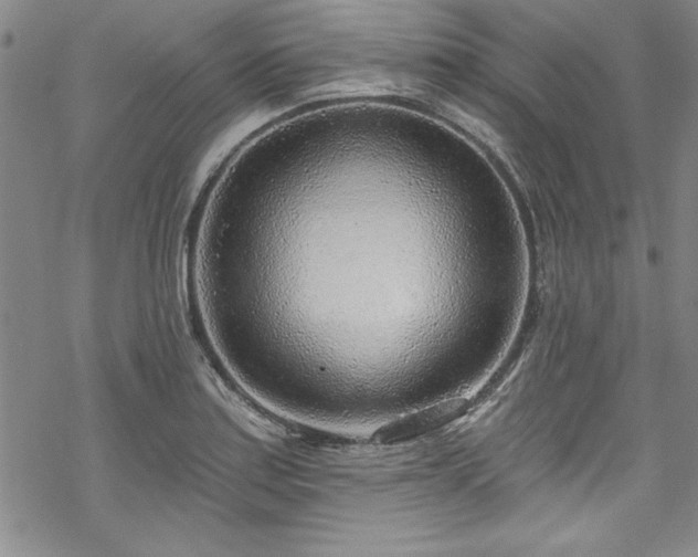 X0000069841179200605221224