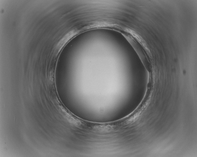 X0000069841185200605221224