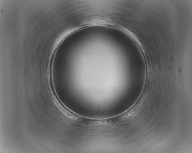 X0000069841195200605221224