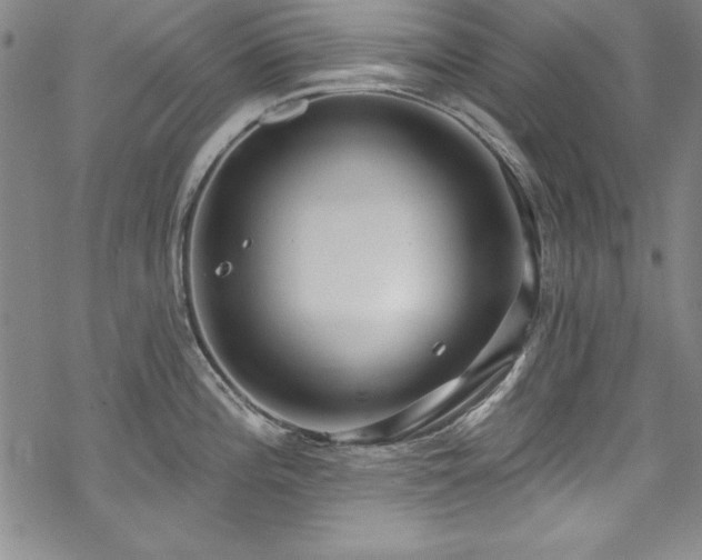 X0000069841196200605221224