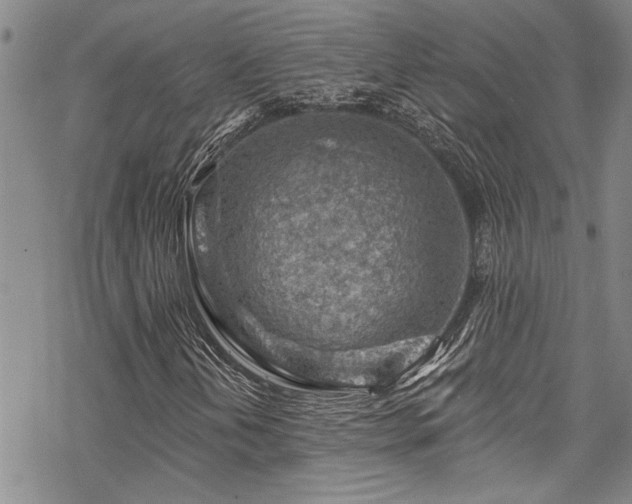 X0000069841202200605221223
